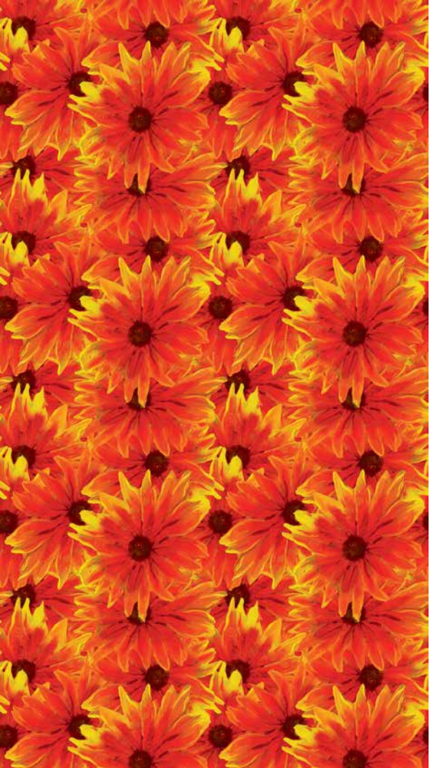 Oklahoma Indian Blanket RTO 2025 Half-Yard Cuts