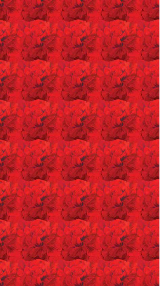 Scarlet Oklahoma Rose RTO 2025 Half-Yard Cuts