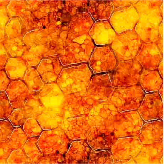 All the Buzz - HONEYCOMB
